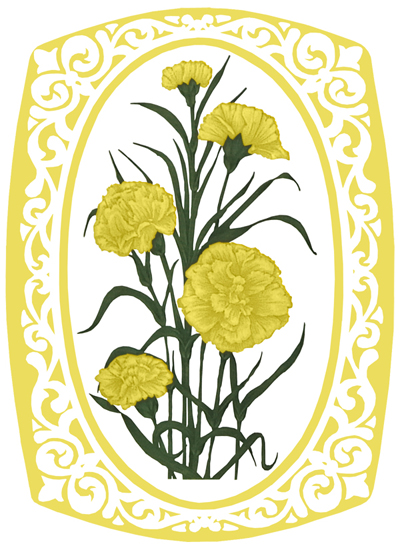 Carnation Yellow